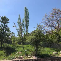 باغ باغچه