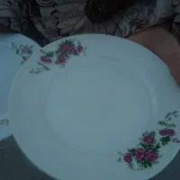 دو دس پلو خوری چینی گل سرخ