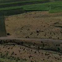 زمین کشاورزی دیم روستای ده حسنالی