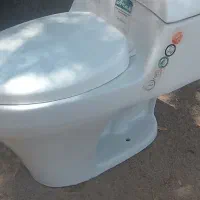 رنگ روغنی براق