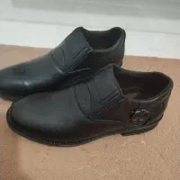 دوجفت کفش مردانه نونو