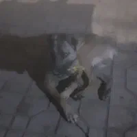 به علت نبودن جا