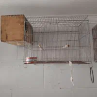 قفس پرنده