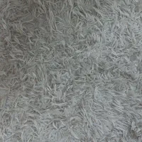 قالی|پادری|آزادشهر, |دیوار