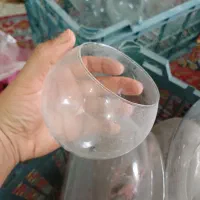 تنگ ماهی