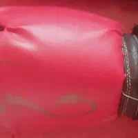 دستکش بوکس