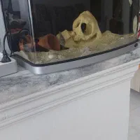 آکواریوم