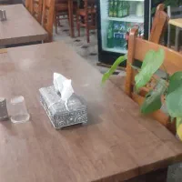 خانم نظافت آشپزخانه