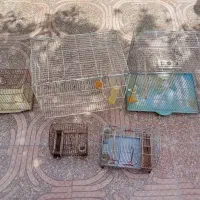 قفس پرنده