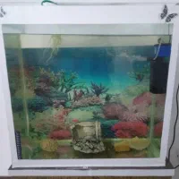آکواریوم با کلیه وسایل