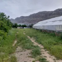 فروش گلخانه و مجتمع کشاورزی در باغ‌ملک