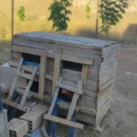 گنجه پرنده