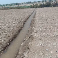 کارگر جهت ماخار زمین کشاورزی