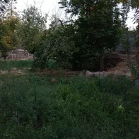 باغ-سرسبز-دلنشین-اسکو