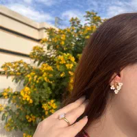 گوشواره مینیمال خاص به قیمت فاکتور پارسال