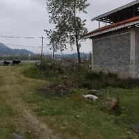 زمین 1000متری بهترین لوکیشن روستای چماچا