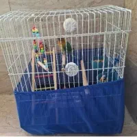 قفس پرنده ۱۰۳۲