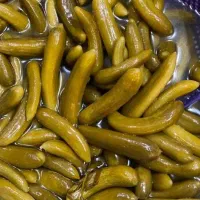 خیار شور ارگانیک بدون یک درصد کود