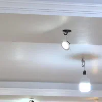 هالوژن