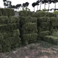 یونجه آب شیرین