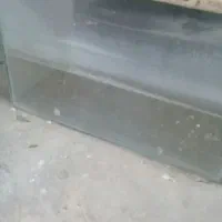 اکواریمبزرگ کوچک