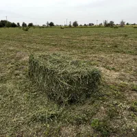 یونجه پرس درجه ۱