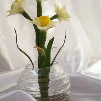 شمع،گل نرگس