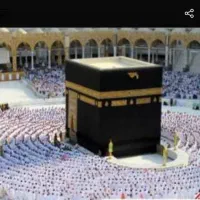 دونفر بهمن 86