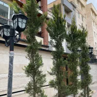 480متر-کلنگی-جنوبی-بر16