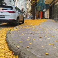 اموزش رانندگی حرفه ای