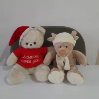 عروسک پولیشی . تدی