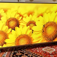 ال ای دی 43اینج الجی کره ای اصلی همراه کارتون نونو