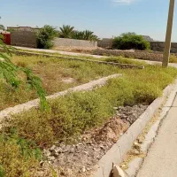 زمین 200 متر بنه گز بهمنی