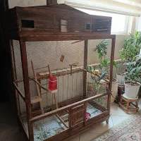 قفس چوبی به همراه پنج عدد مرغ عشق خاص خوشرنگ