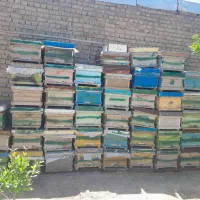 کندوی زنبور عسل