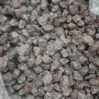 کشمش آفتابی عسکری