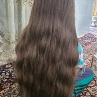 موی طبیعی بالاترین قیمت بازار