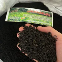 چای ممتاز وزین سرگل بهاره