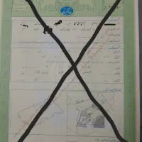 فروش-یک-قطعه-1000-متری-زمین