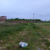 فروش زمین فوری