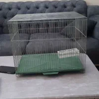 قفس