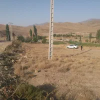 20 قصب زمین