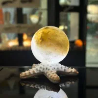 آباژور ستاره دریایی با سنگ نمک