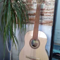 گیتار سگویا کلاسیک با سیم جی داداریو