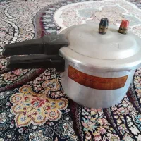 زود پزنونو