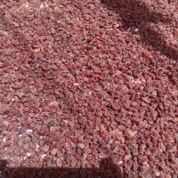 کشمش خوب وسایه خشک