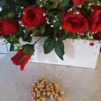 فال نخود قدیمی