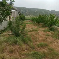 خانه باغ