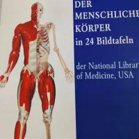 کتاب پزشکی آناتومی