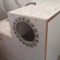 لانه شاه طوطی یا کاسکو
